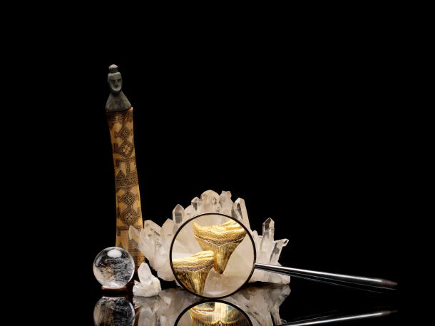 Blacktip Stud Earrings copy