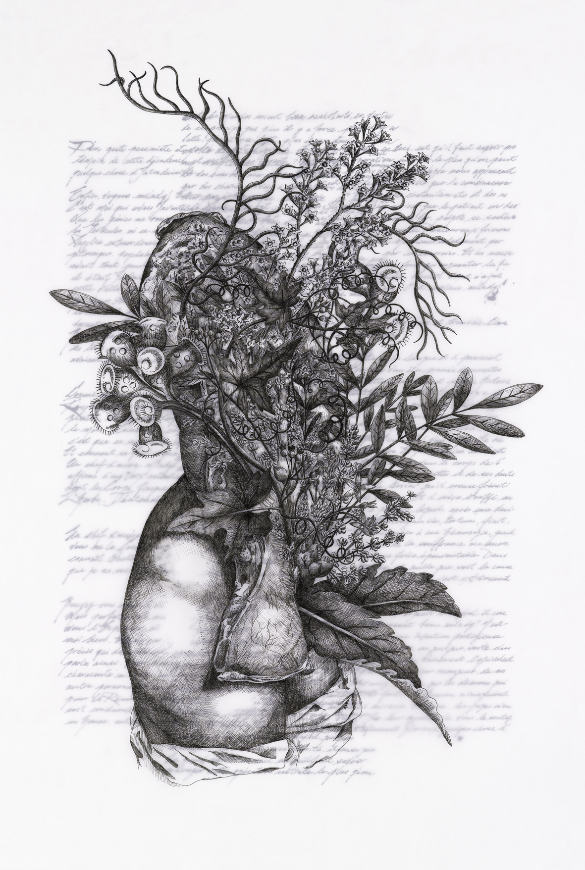 'My gown is no longer all white lace because in tearing it the son of heaven left a little rosy stain', 2011