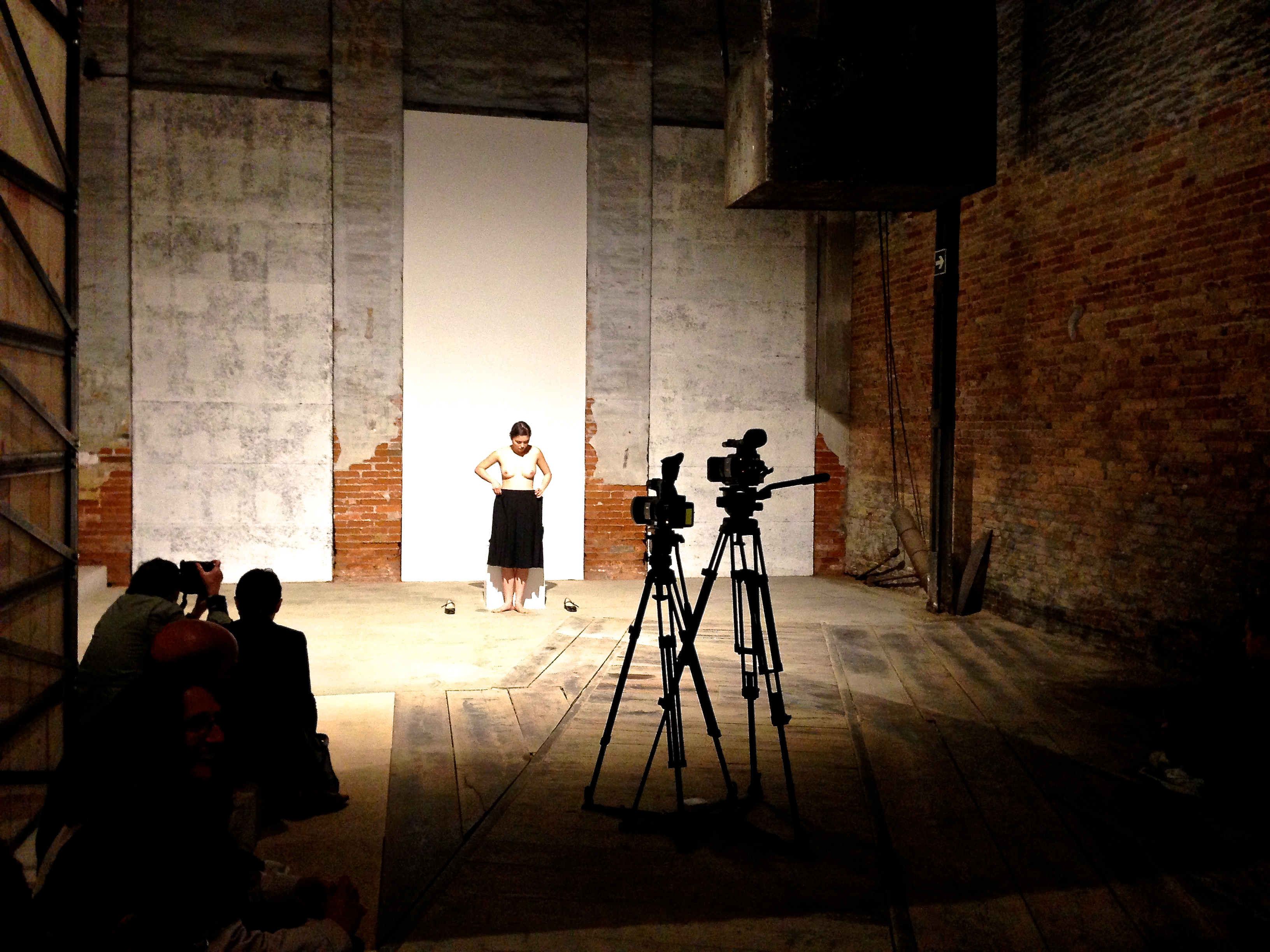 Fabio Mauri, Italian Pavilion