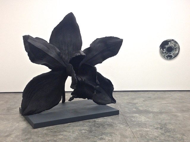 'Stealth Desire (Etymology)', 2013