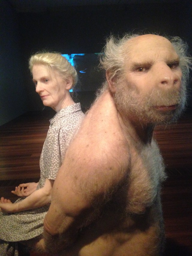 Patricia Piccinini, 'The Carrier', 2012