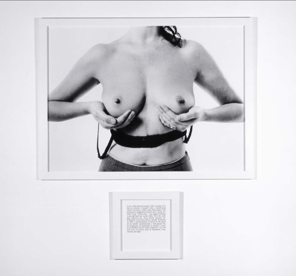 'The breasts' / 'Les Seins miraculeux', 2001. Image courtesy of Galerie Perrotin.