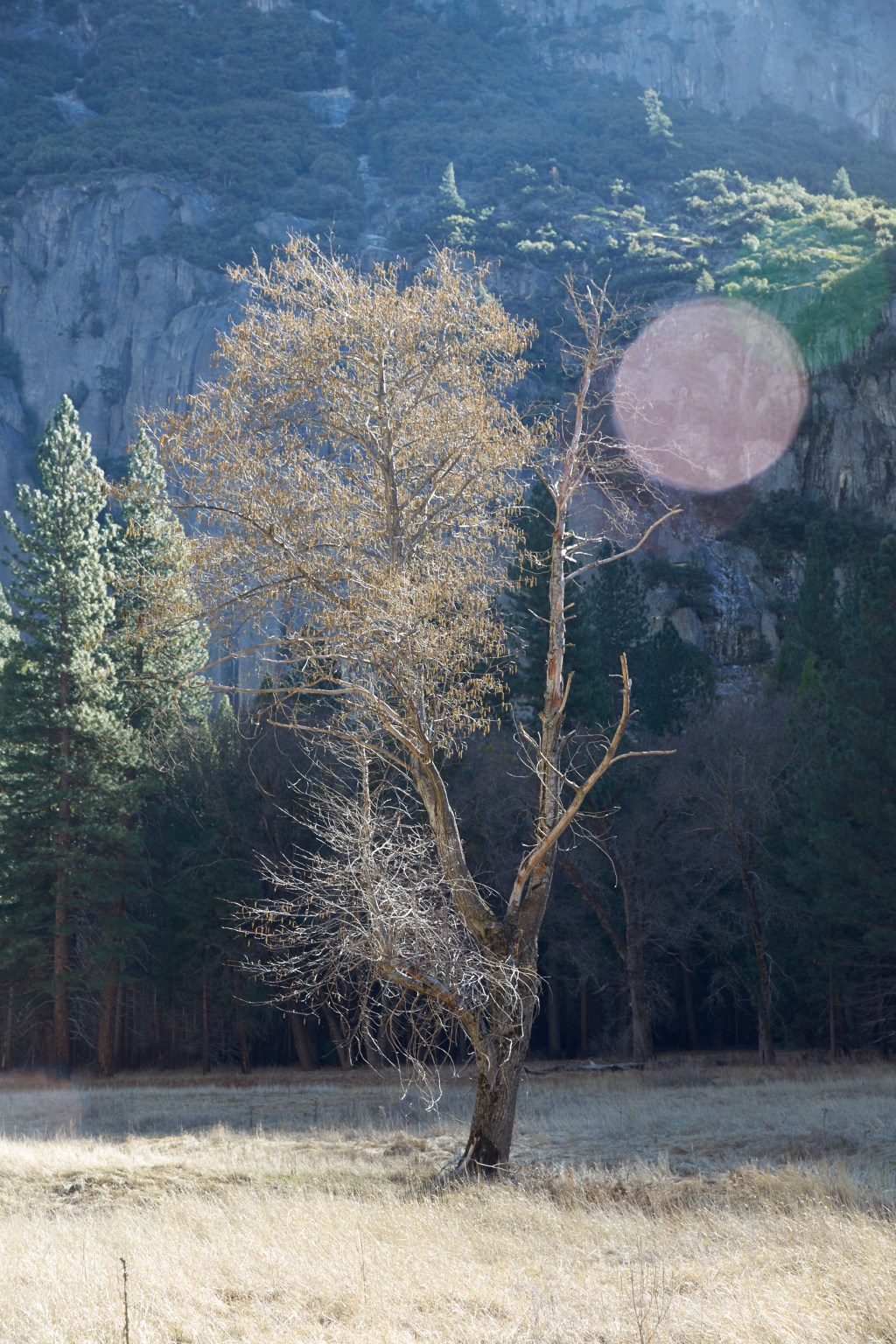 Catherine Opie: ‘So long as they are&nbsp;wild’