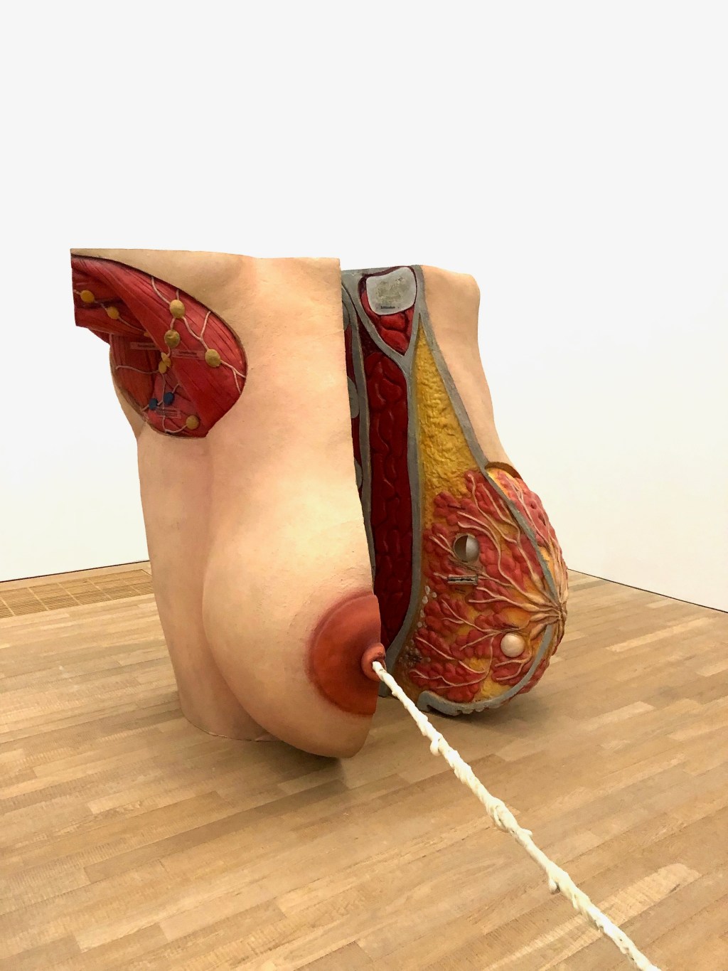 The Violence of Gender: Performing&nbsp;Society