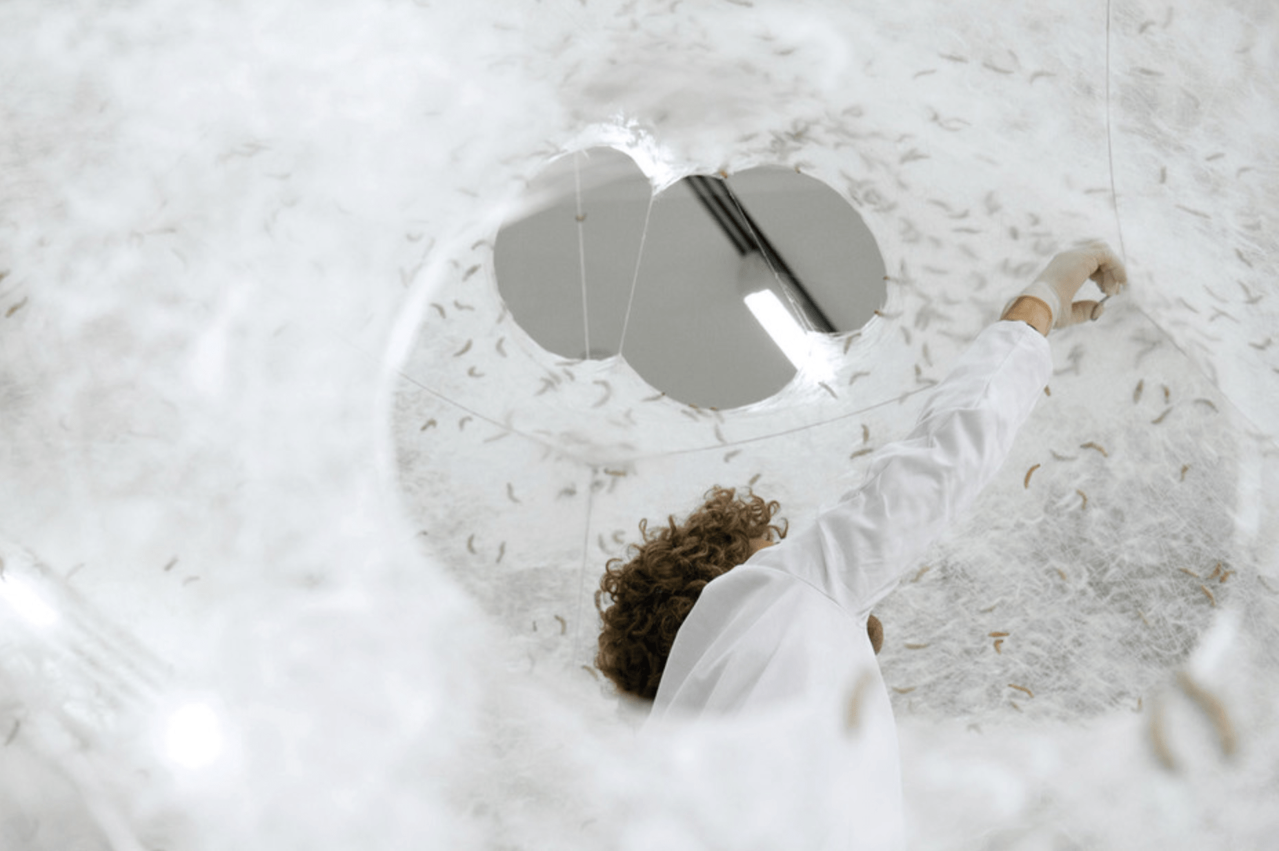 Neri Oxman and the Mediated Matter Group, Silk Pavilion 2013