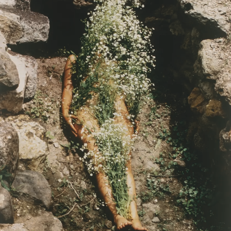 A figure partially covered with flowering plants, lying in a natural setting with rocks and soil.